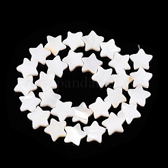 Naturali di acqua dolce perline shell fili&nbsp;SHEL-WH0009-05