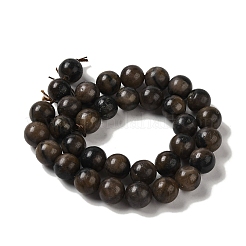 Fili di perle di chiastolite naturale&nbsp;G-Q161-A03-05