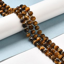 Natürlichen Tigerauge Perlen Stränge&nbsp;G-P508-A01-01