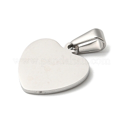Pendentifs en acier inoxydable 304 anti-ternissement&nbsp;STAS-I135-12P-B