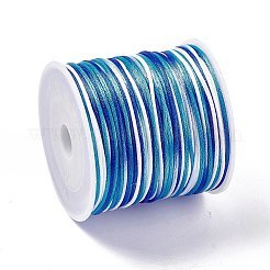 Cordones de satén de cola de rata de nailon teñidos en segmentos&nbsp;NWIR-A008-01D