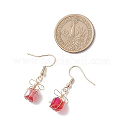 304 Edelstahl Geschenk Ohrhänger&nbsp;EJEW-JE06684