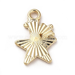 Emaille Anhänger Legierung&nbsp;ENAM-M046-03G