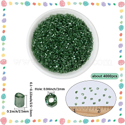 120 g de perles de verre&nbsp;SEED-PA0001-20