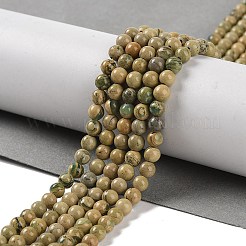 Brins de perles en pierre verdite naturelle&nbsp;G-P530-B07-01