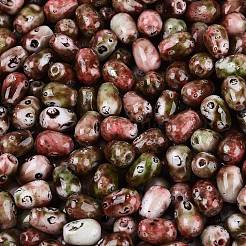 Perles de rocaille en verre picasso&nbsp;SEED-N012-10L
