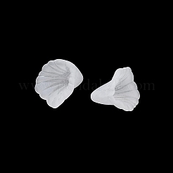 Embouts de perles acryliques dépolis&nbsp;AC-CBA81FF-01A