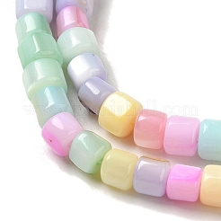 Regenbogenfarben gefärbte Stränge natürlicher Süßwassermuschelperlen&nbsp;SHEL-G018-02D