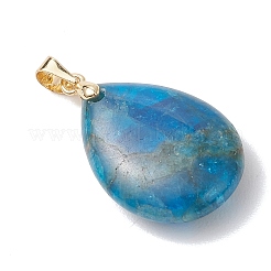 Natürliche Apatit Pendants&nbsp;PALLOY-JF04952