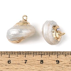 Colgantes de concha de espiral natural electrochapada&nbsp;SSHEL-N042-04