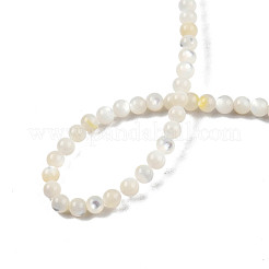 Natürliche weiße Muschelperlenstränge&nbsp;SSHEL-N003-144C-01