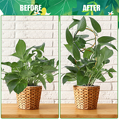 4 soporte para plantas de flores de hierro de 4 estilos&nbsp;FIND-CN0001-62B