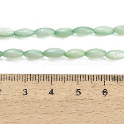 Natürlichen Süßwasser-Muschelperlen Stränge&nbsp;SHEL-C010-01A