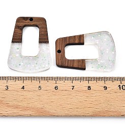 Colgantes de resina epoxi y madera de nogal&nbsp;RESI-T057-13A