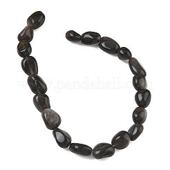 Fili di perline di ossidiana lucentezza argento naturale&nbsp;G-C286-A21