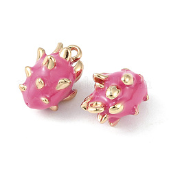 Messing Emaille Anhänger / charms&nbsp;KK-G462-25LG