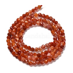 Natürliche südrote Achat Perlen Stränge&nbsp;G-Z074-A02-01B