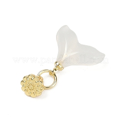 Dijes de ágata blanca natural&nbsp;LS-KK-Z094-04G-03