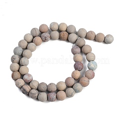Natürliche Aqua Terra Jaspis Perlen Stränge&nbsp;G-N0128-48F-8mm