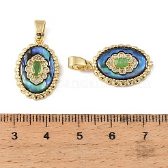 Natur Paua Muschel Anhänger&nbsp;SH-G001-02G