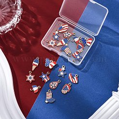 20 pièces 10 styles pendentifs en alliage émail pour le jour de l'indépendance&nbsp;ENAM-FP0001-84