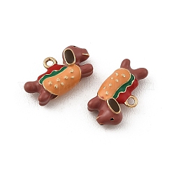 Legierung Emaille Anhänger / charms&nbsp;FIND-G115-05