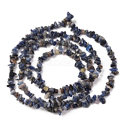 Chip sodalite naturali fili di perline&nbsp;LS-F024