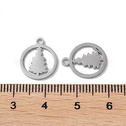 Anlaufgeschützte Anhänger aus 304 Edelstahl&nbsp;STAS-F300-02P