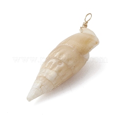 Natürliche Spirale Shell Anhänger&nbsp;PALLOY-JF02951