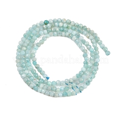 Natur amazonite Perle Stränge&nbsp;X-G-P279-42-2mm-01