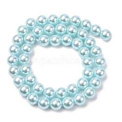 Fili di perle di conchiglie galvanizzate&nbsp;BSHE-G041-8mm-03