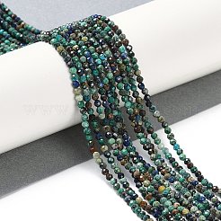 Natürliche Chrysokolla und Lapislazuli Perlen&nbsp;G-P542-A03-02