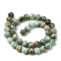 Natürliche grüne Linie Jaspis Perlenstränge&nbsp;G-L639-A01-12mm