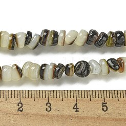 Natur schwarz Lippe Shell Perlen Stränge&nbsp;BSHE-G039-02