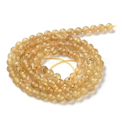Fili di perle di apatite giallo naturale&nbsp;GG-CBAE031-A02-4mm