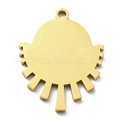 Ionenplattierung (IP) 316L chirurgischer Edelstahlanhänger&nbsp;STAS-M317-14G