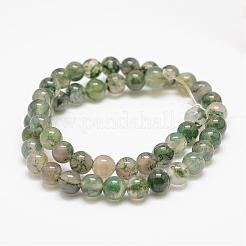 Chapelets de perles en agate mousse naturelle&nbsp;G-F453-6mm