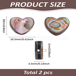 2 Stück natürliche Abalone-Muschel/Paua-Muschelperlen&nbsp;SSHEL-LP0001-02