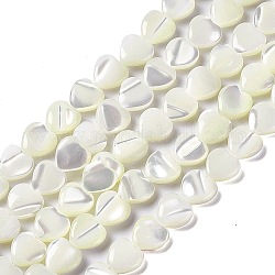 Fili di perle di conchiglia trochid naturale / trochus, cuore, colore conchiglia, 7.5~8x7.5x3mm, Foro: 0.6 mm, circa 49pcs/filo, 15.08~15.16 (38.3~38.5 cm)