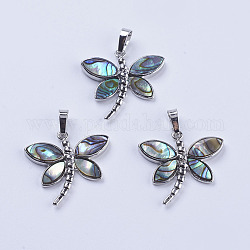 Abalone Shell/Paua Shell Pendants, with Platinum Tone Brass Bail, Dragonfly, 28x29x4mm, Hole: 5x8mm