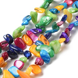 Natural Shell Beads Strands, Dyed, Nuggets Chips, Colorful, 8~22.5x5~11.5x4~7mm, Hole: 1mm, about 108pcs/strand, 31.30 inch(79.5cm)