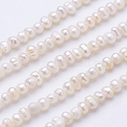 Hebras de perlas de agua dulce cultivadas naturales, patata, crema, 4~4.5x5~5.5mm, agujero: 0.5 mm, aproximamente 75~80 pcs / cadena, 13.7 pulgada