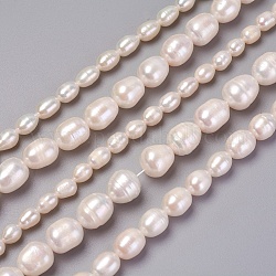 Grade AA Natural Cultured Freshwater Pearl Beads Strands, Oval, White, 5~11x5~11mm, Hole: 0.5~1mm, about 28~56pcs/strand, 13.9 inch~14.7 inch(35.5~37.5cm)