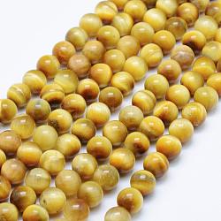Natürlichen Tigerauge Perlen Stränge, Runde, 8 mm, Bohrung: 1 mm, ca. 47~48 Stk. / Strang, 15.5 Zoll (39.5 cm)