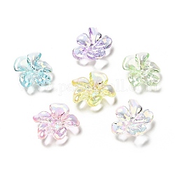 Transparentes bouchons acrylique de perles, couleur ab , Flower 5 pétales, couleur mixte, 20.5x24x7mm, Trou: 1.5mm