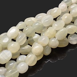 Pepitas de perlas de piedra de luna blanca natural hebras, piedra caída, 9~12x8~13x5~7mm, agujero: 1 mm, aproximadamente 15.3 pulgada ~ 15.7 pulgadas