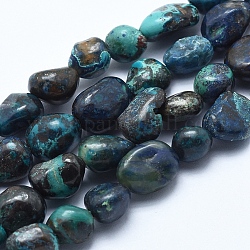 Naturelles chrysocolla perles brins, pierre roulée, pépites, 5~8mm, Trou: 0.8mm, Environ 45~47 pcs/chapelet, 15.7 pouce (40 cm)
