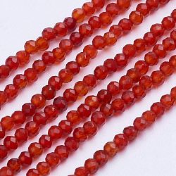 Natürlichen Karneol-Perlen Stränge, gefärbt und erhitzt, facettiert, Runde, 2~2.5 mm, Bohrung: 0.5 mm, ca. 200~207 Stk. / Strang, 15.35 Zoll ~ 15.7 Zoll (39~40 cm)