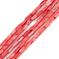 Натуральные пресноводные окрашенные бусы из ракушек, колонка, оранжево-красный, 8x4 мм, отверстие : 0.8 мм, около 46 шт / нитка, 14.96'' (38 см)