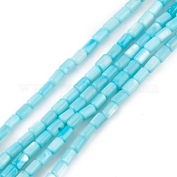 Fili di perline tinti in conchiglia naturale d'acqua dolce, colonna, azzurro, 4.8x3mm, Foro: 0.8 mm, circa 78pcs/filo, 14.96'' (38 cm)